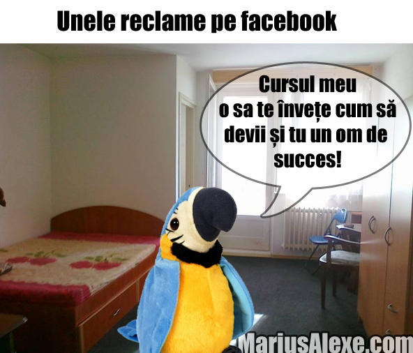 Trainerii de succes