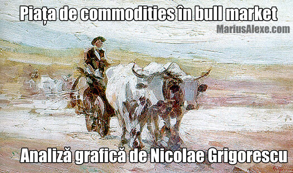 Piața de commodities în bull market