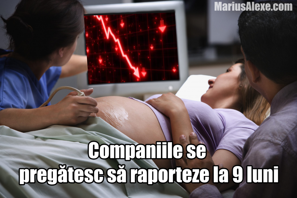 Companiile la 9 luni