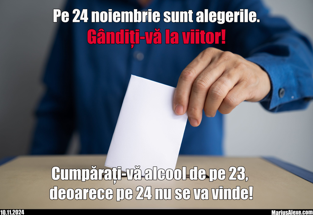 Zi de vot