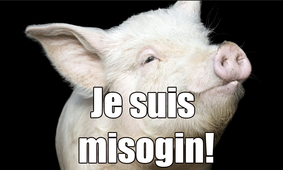 Je suis misogin