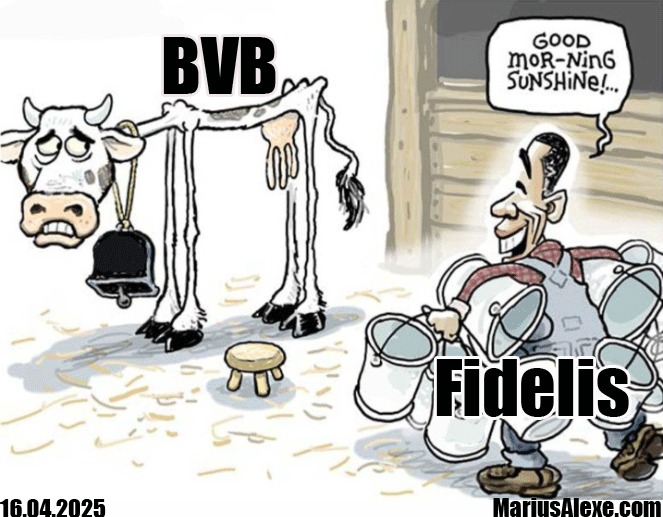 BVB vs Fidelis