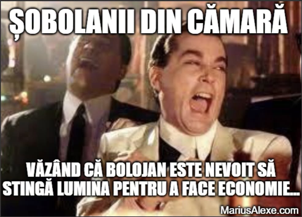 Bolojan și economia de energie
