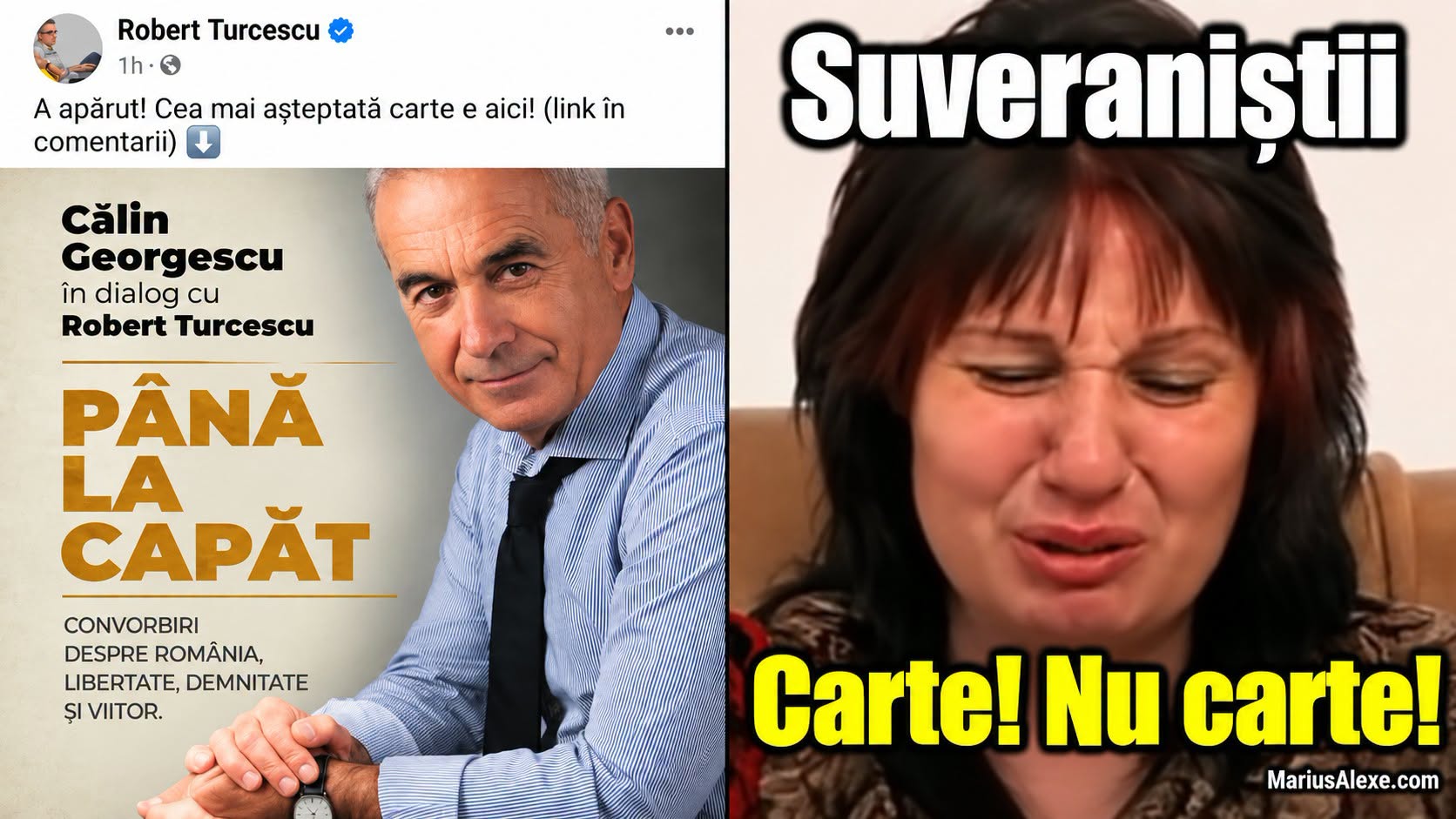 Au înflorit cireșii, au fost tăiați și s-au făcut cărți din ei!