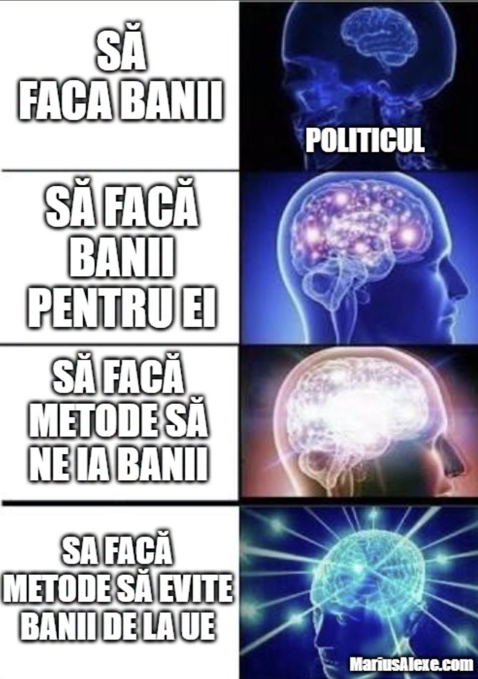 Politicul VS Bani